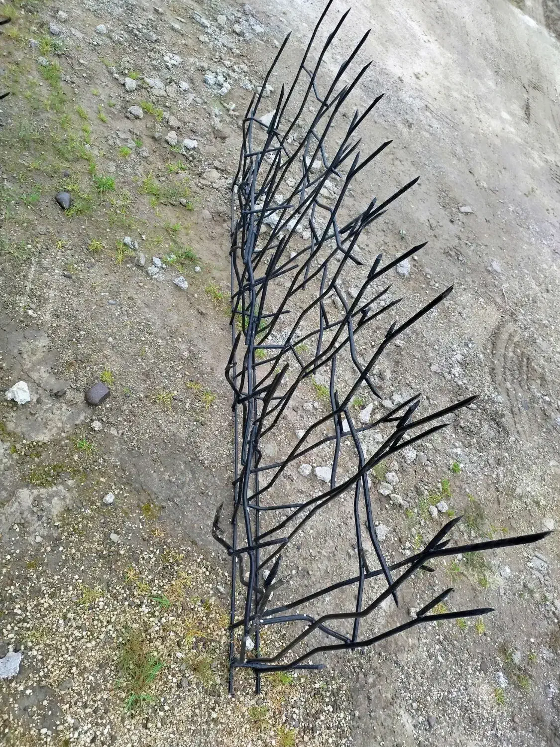 حفاظ شاخ گوزنی|مصالح و تجهیزات ساختمان|کیاشهر, |دیوار