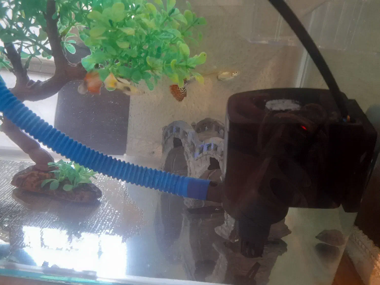 آکواریوم|ماهی|اندیشه, اندیشه فاز ۲|دیوار