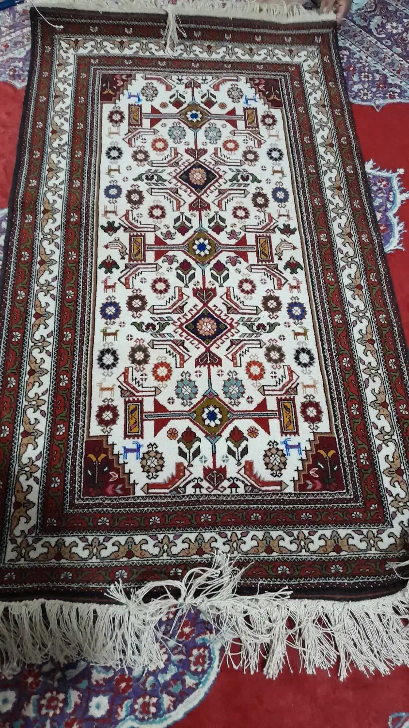 قالیچه فروشی|فرش|خواف, |دیوار