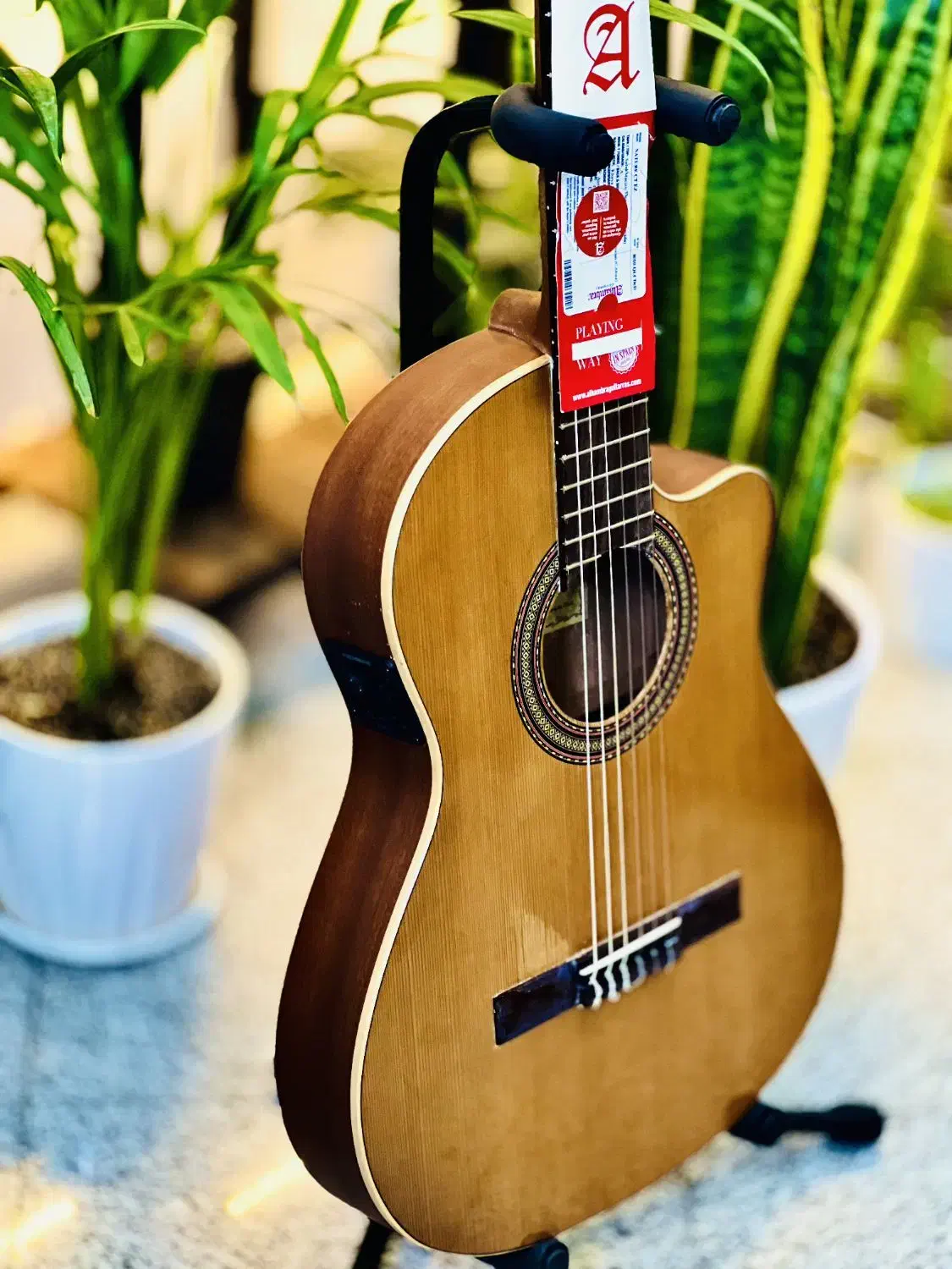 گیتار الحمبرا z nature ct ez|گیتار، بیس، امپلیفایر|مراغه, |دیوار