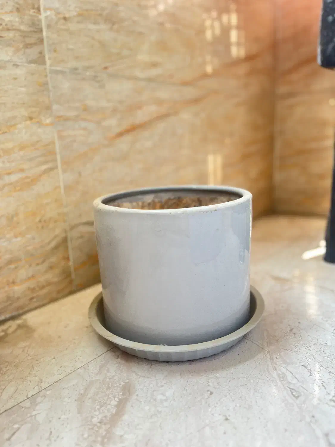 گلدان|گل و گیاه طبیعی|تهران, فلاح|دیوار