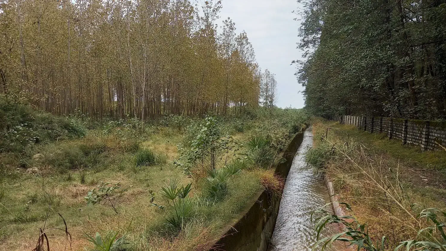تنکابن10هکتارزمین150مترویلا ۳تاسرایداری سند۶شدانگ|فروش زمین و ملک کلنگی|نشتارود, |دیوار