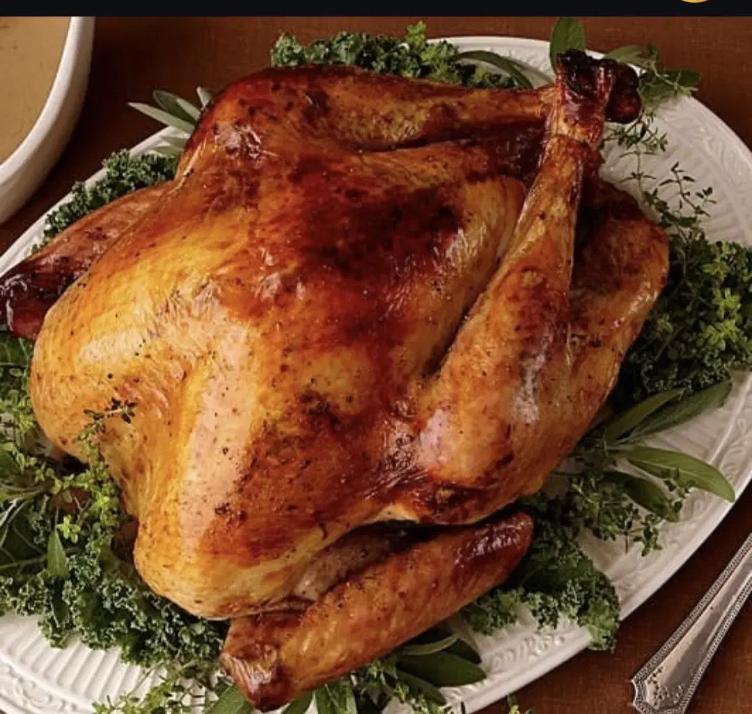 سفارش غذا آماده برای مراسم ها|خدمات پذیرایی، مراسم|مراغه, |دیوار