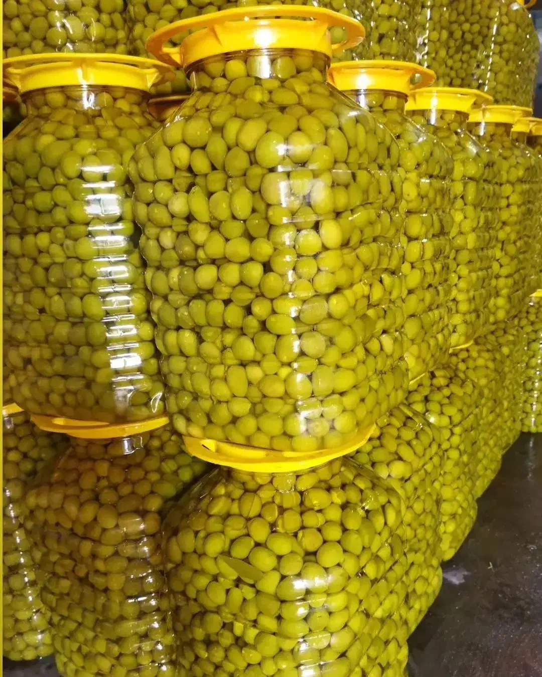 زیتون رودبار|خوردنی و آشامیدنی|اصفهان, خلجا|دیوار