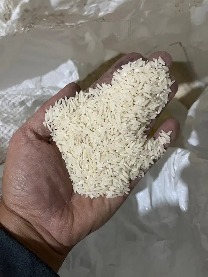 برنج هاشمی سورتینگ زده|خوردنی و آشامیدنی|لاهیجان, امیرشهید|دیوار