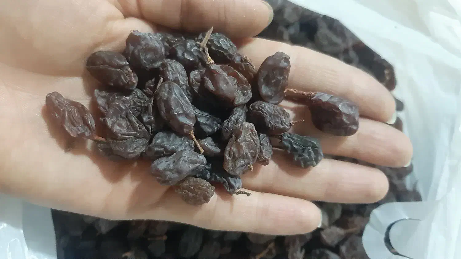 مویز فرخی|خوردنی و آشامیدنی|ملایر, |دیوار