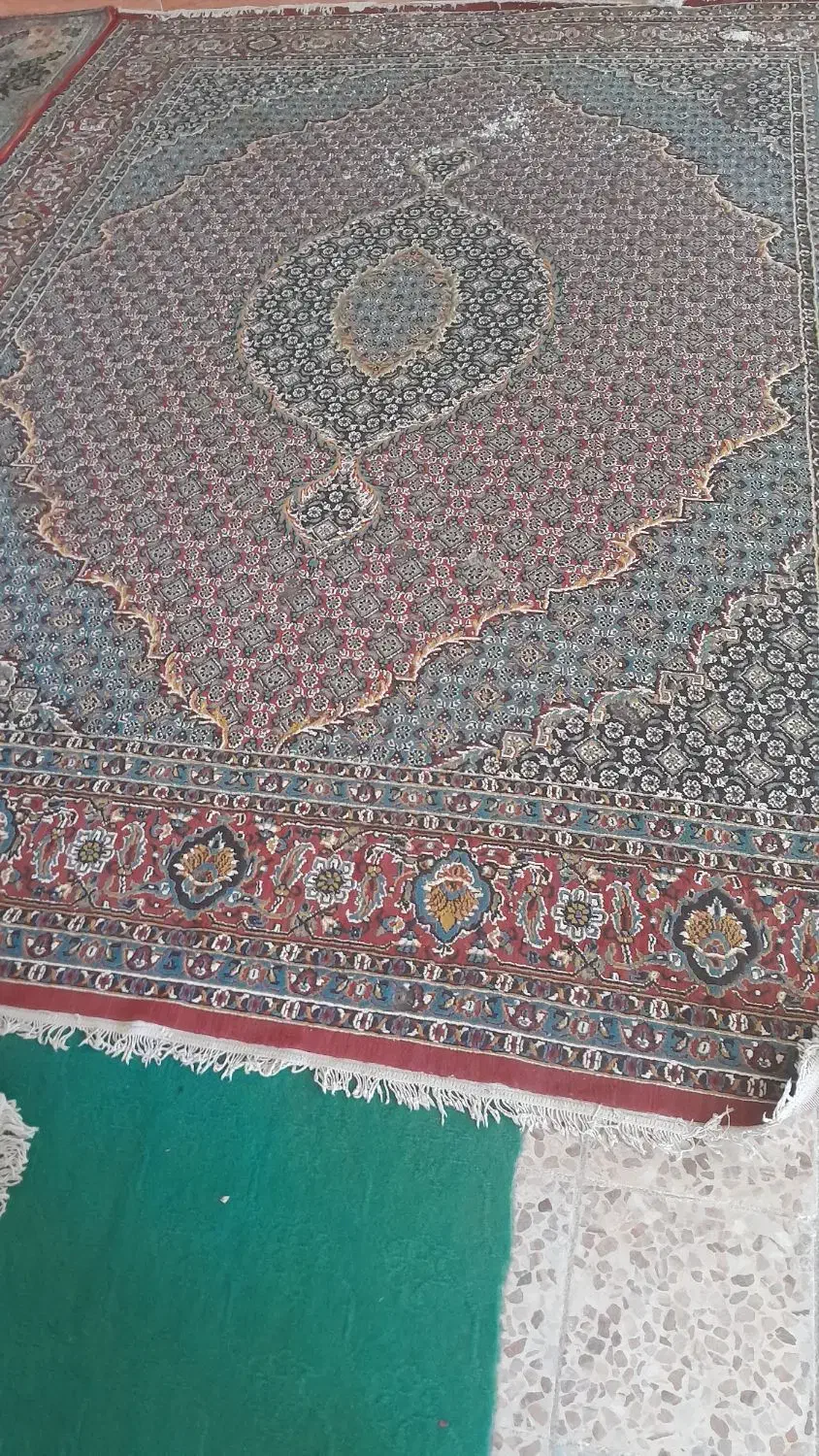 فرش ۱۲متری|فرش|ایلام, |دیوار