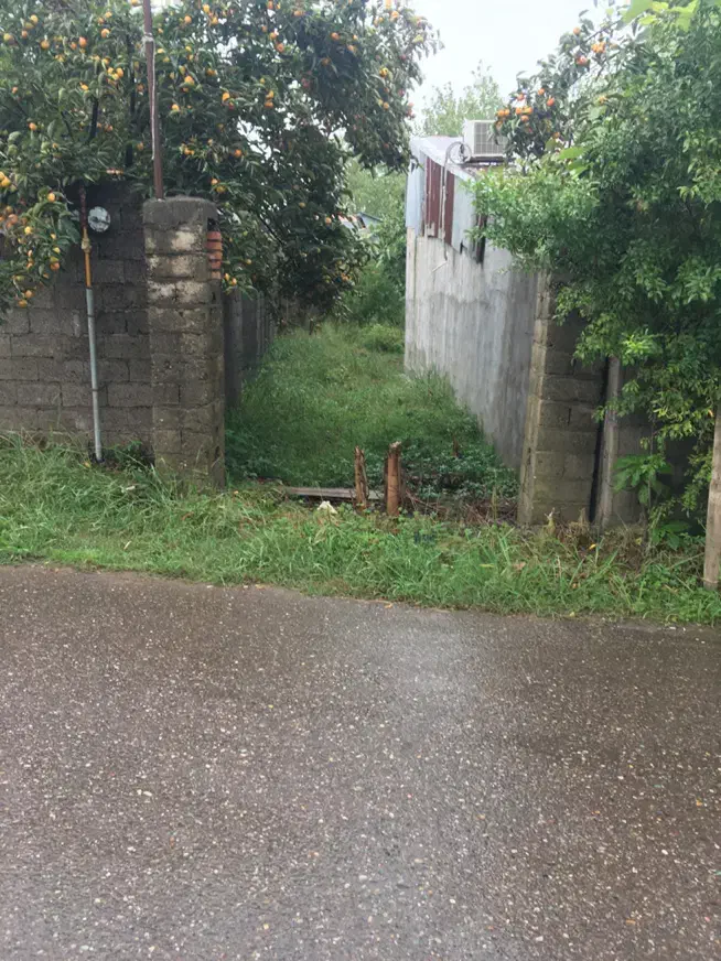 زمین با سند تک برگ مسکونی راسته کنار -گلستان|فروش زمین و ملک کلنگی|خمام, |دیوار