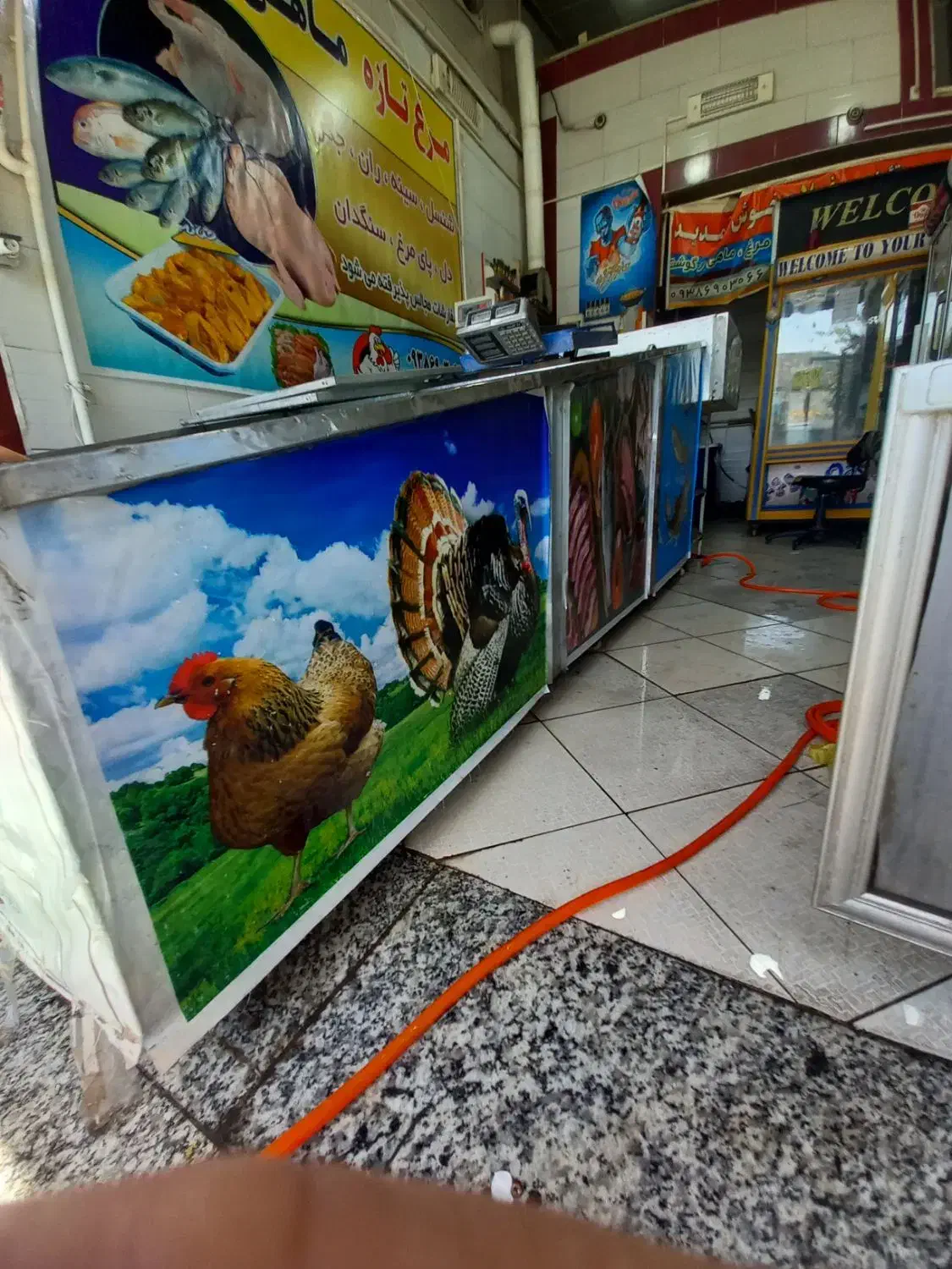 یخچال خوابیده مرغ و ماهی|فروشگاه و مغازه|تاکستان, |دیوار