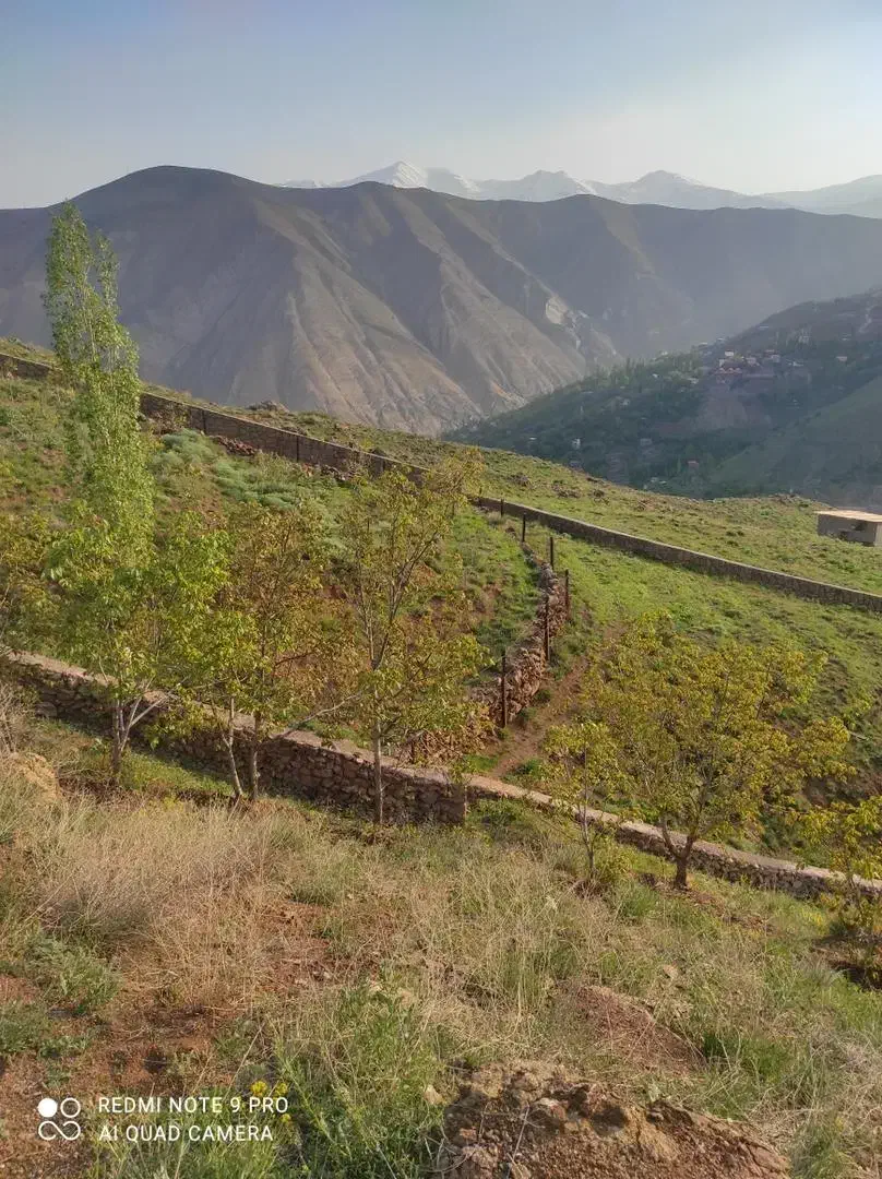 فروش ۲۵۰ متر زمین ویو عالی|فروش زمین و ملک کلنگی|فشم, |دیوار