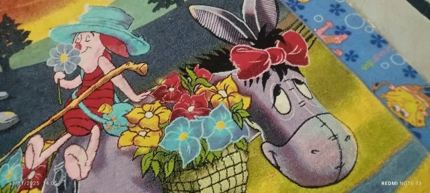 فرش وموکت|فرش|زابل, |دیوار