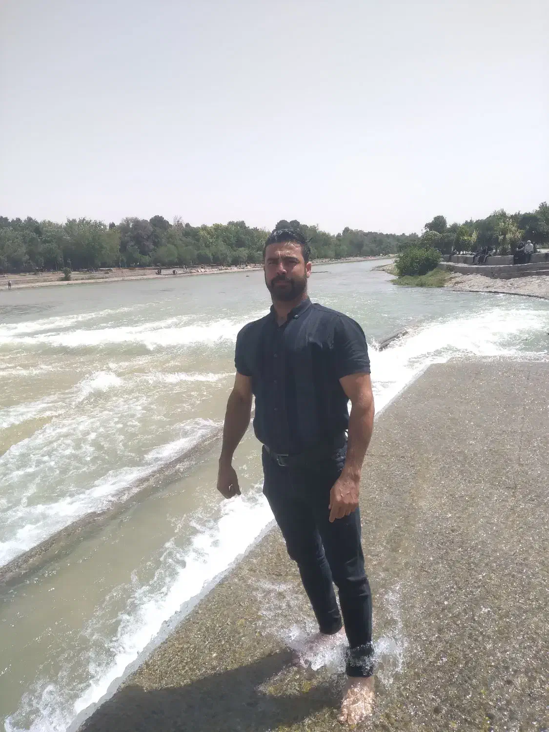 هرس فقط فقط باغ زیتون|خدمات باغبانی و درختکاری|آزادشهر, |دیوار