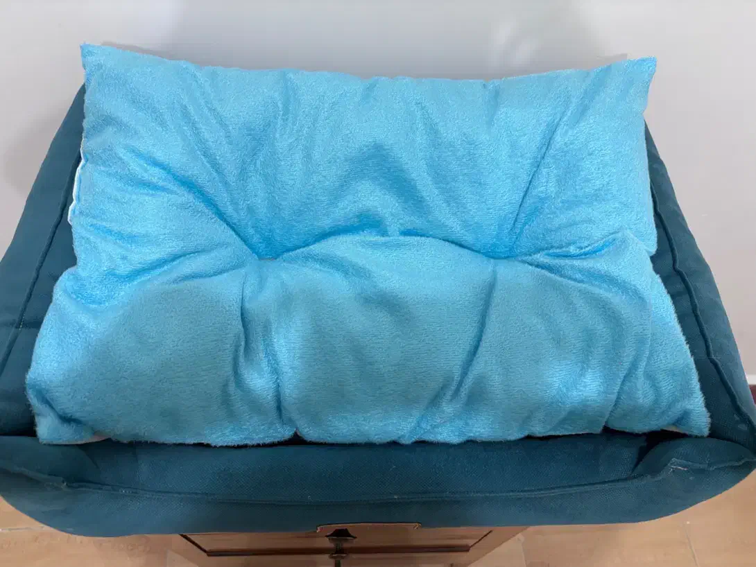 جای سگ یا گربه|لوازم جانبی حیوانات|بانه, |دیوار