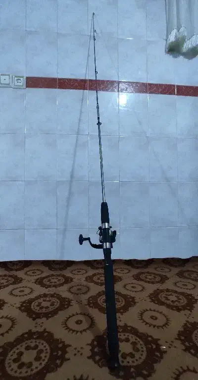 لنسر ماهی گیری|ماهیگیری|بروجرد, |دیوار