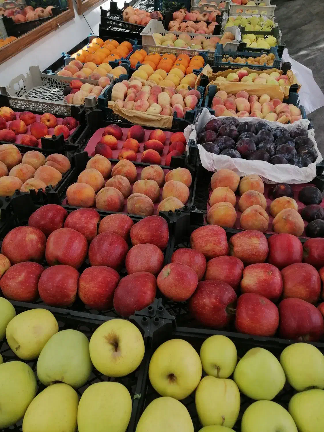 دو نفر نیروی کار|استخدام خدمات فروشگاه و رستوران|بجنورد, |دیوار