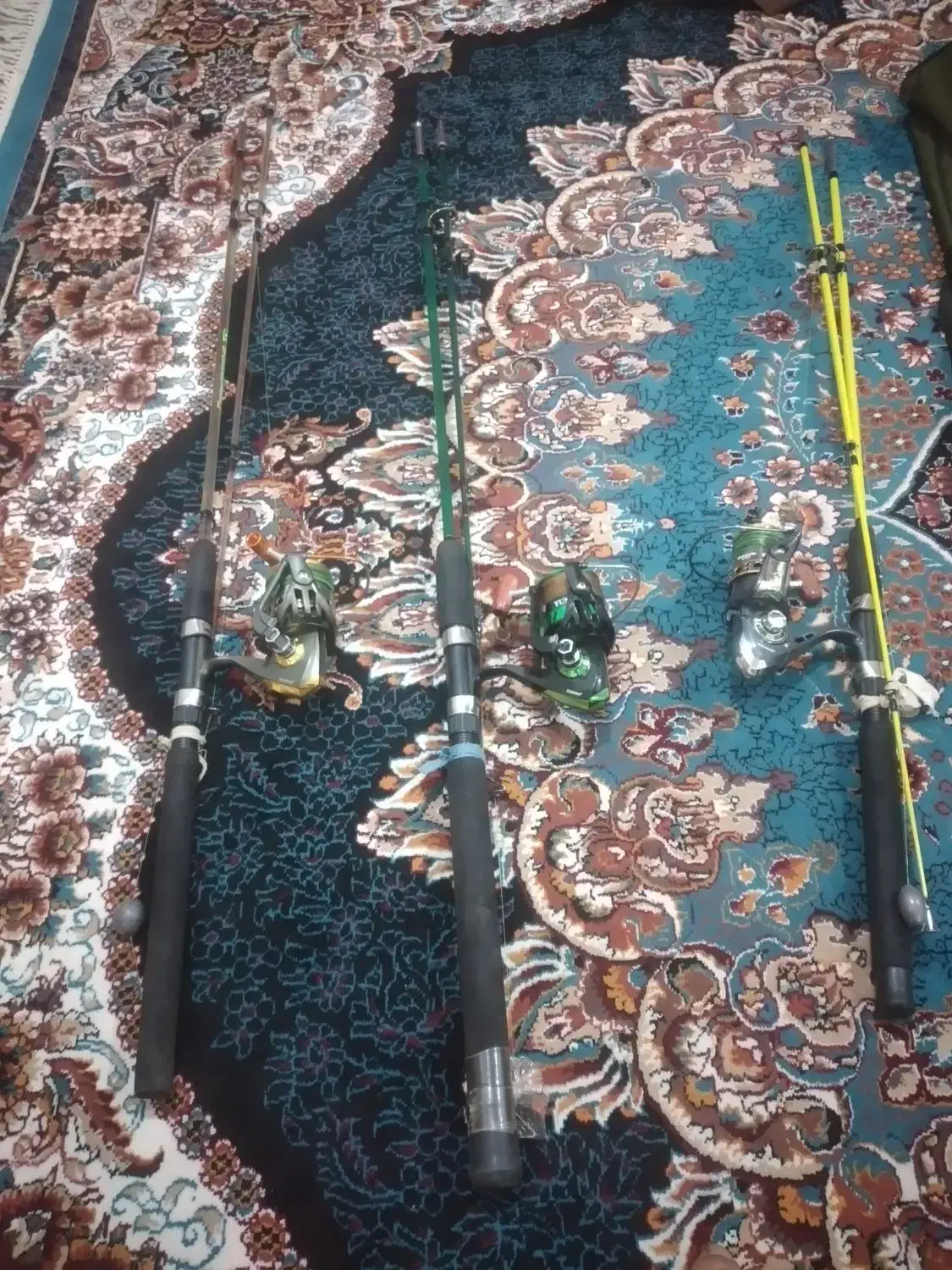 لنسر ماهیگیری|ماهیگیری|شوشتر, |دیوار