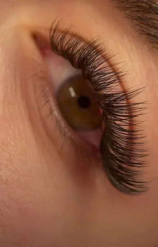 اکستنشن مژه لیفت و لمینت مژه و ابرو|خدمات آرایشگری و زیبایی|فولادشهر, B7|دیوار