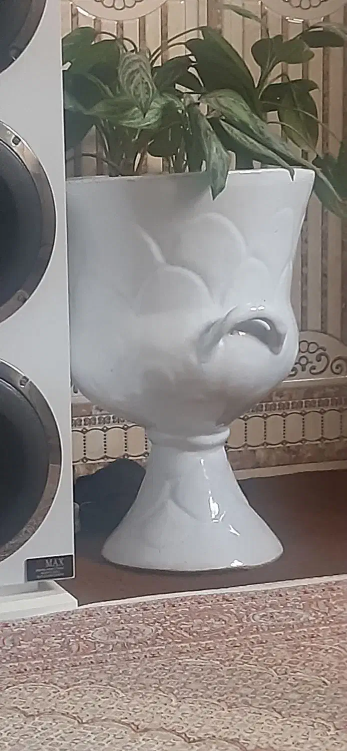 گلدان فروشی|گل و گیاه طبیعی|مراغه, |دیوار