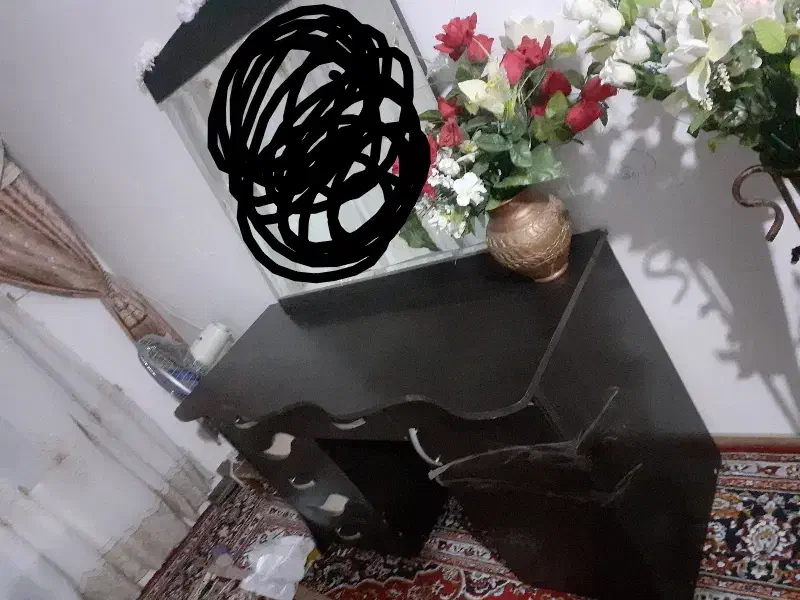 دراور سالم با اینه|جاکفشی، کمد، دراور|تربت جام, حافظ|دیوار