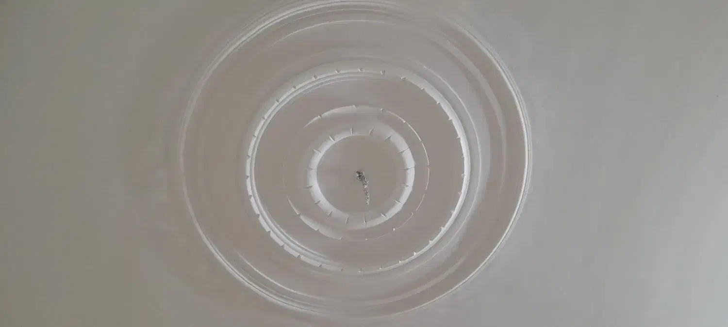 گچ کاری.بنایی.سیمان کاری.خرده کاری.|خدمات پیشه و مهارت|زنجان, |دیوار