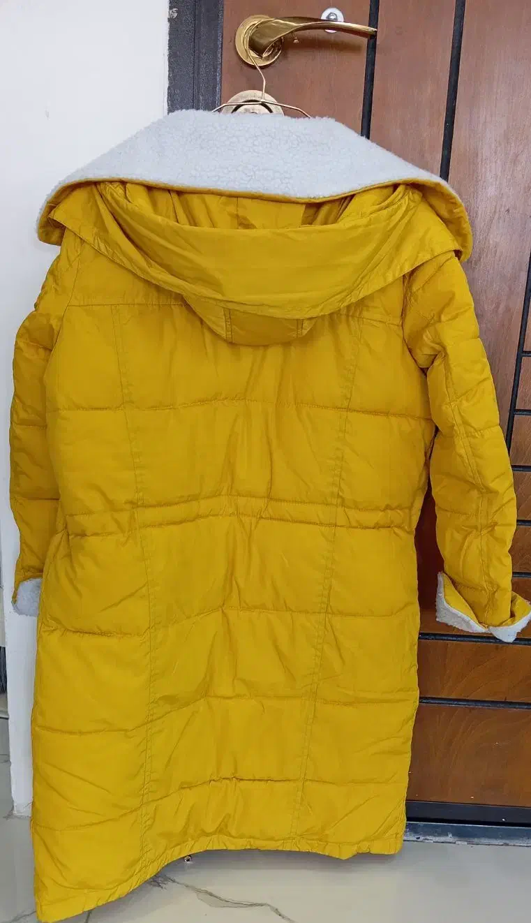 کاپشن|لباس|مشهد, کوشش|دیوار