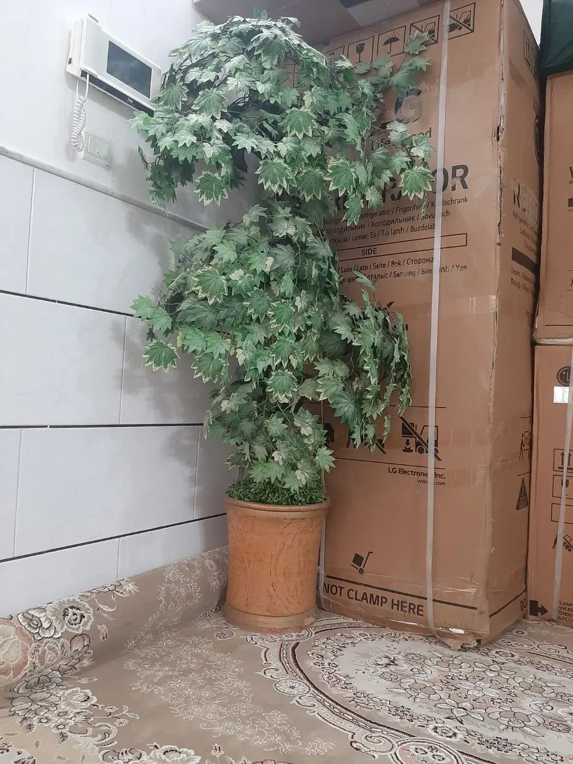 درختچه|گل مصنوعی|قم, نیروگاه|دیوار