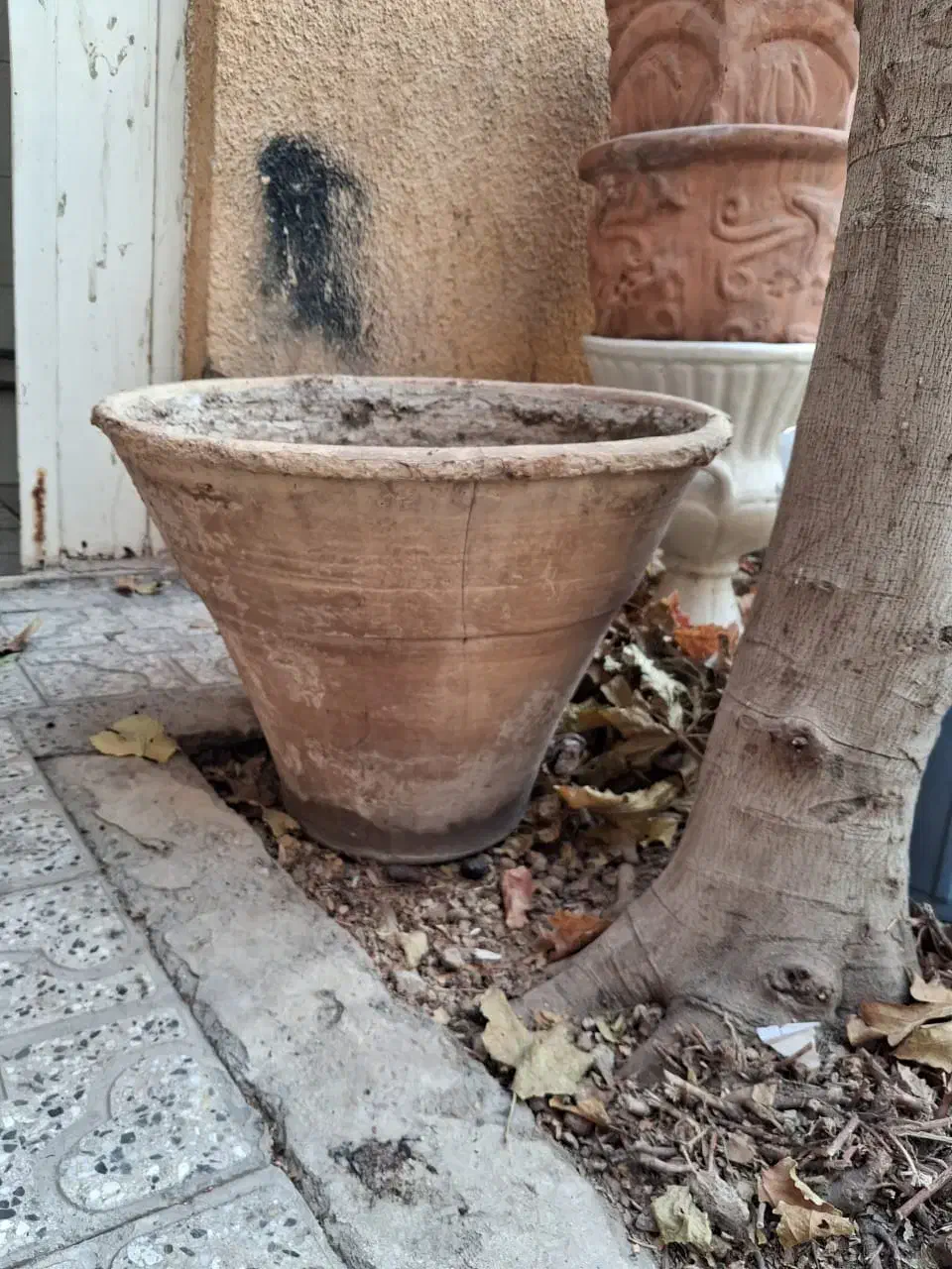 گلدان|گل و گیاه طبیعی|اصفهان, همت‌آباد|دیوار