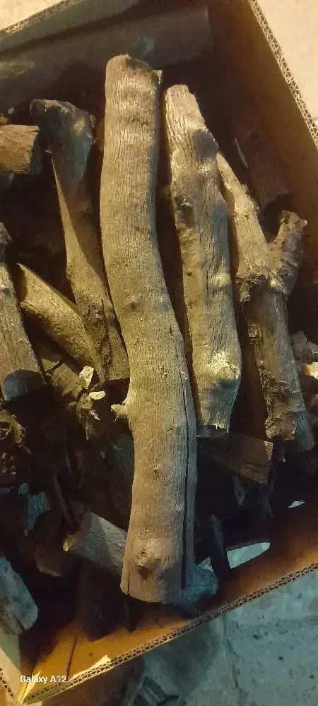 خرید درخت چوب حرص تناژ بالا|خدمات باغبانی و درختکاری|مسجد سلیمان, |دیوار