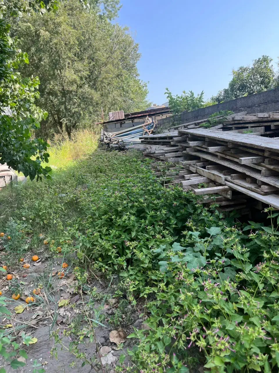 فروش زمین جهت ساخت آپارتمان خمام|فروش زمین و ملک کلنگی|رشت, فرزانه|دیوار