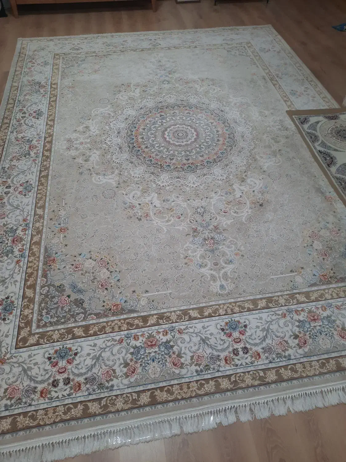 یک عدد فرش 12متری|فرش|زاهدان, |دیوار