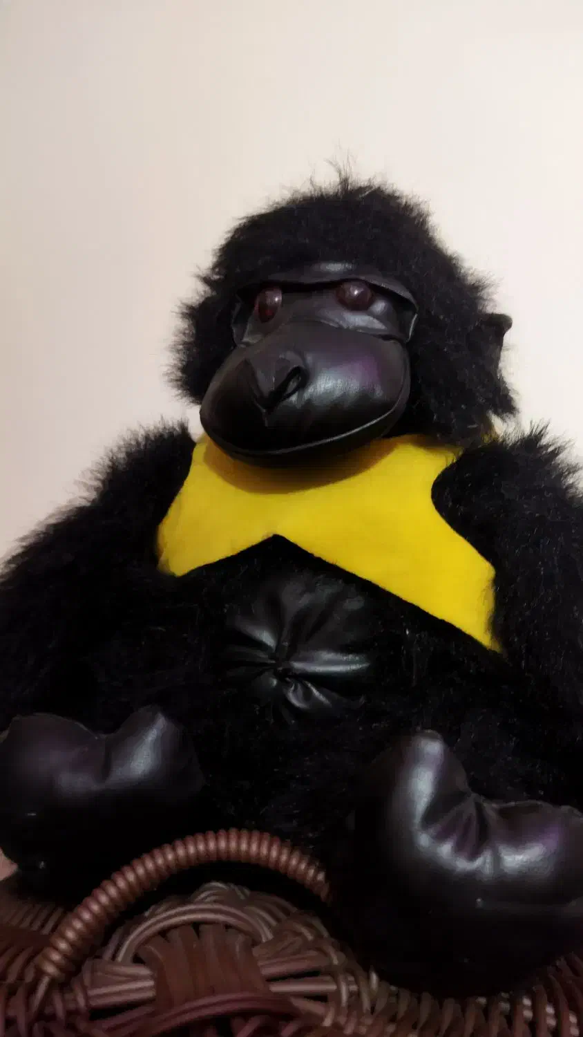 عروسک|اسباب‌بازی بچه|تهران, کرمان|دیوار