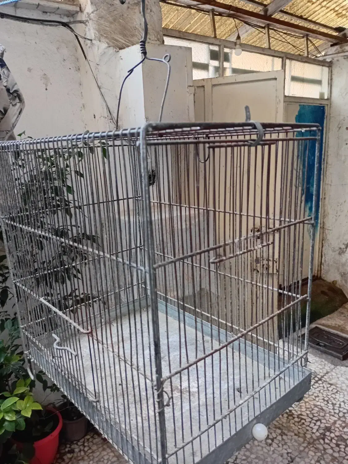 قفس سهره غلامی|لوازم جانبی حیوانات|رشت, توشیبا|دیوار