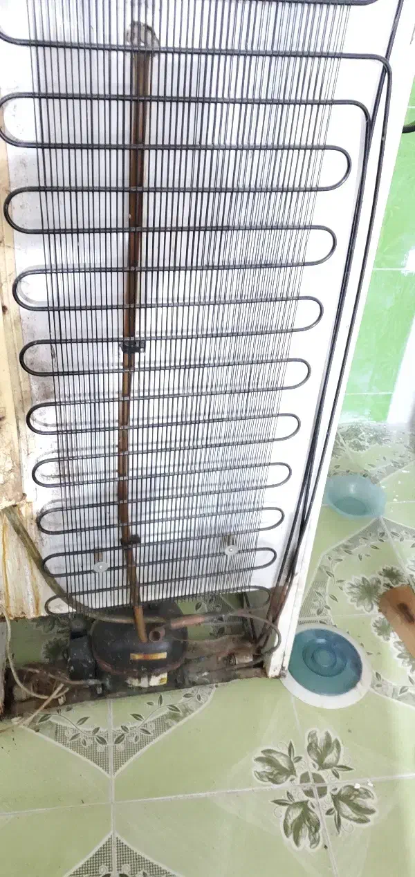 یخچال امرسان|یخچال و فریزر|فومن, |دیوار