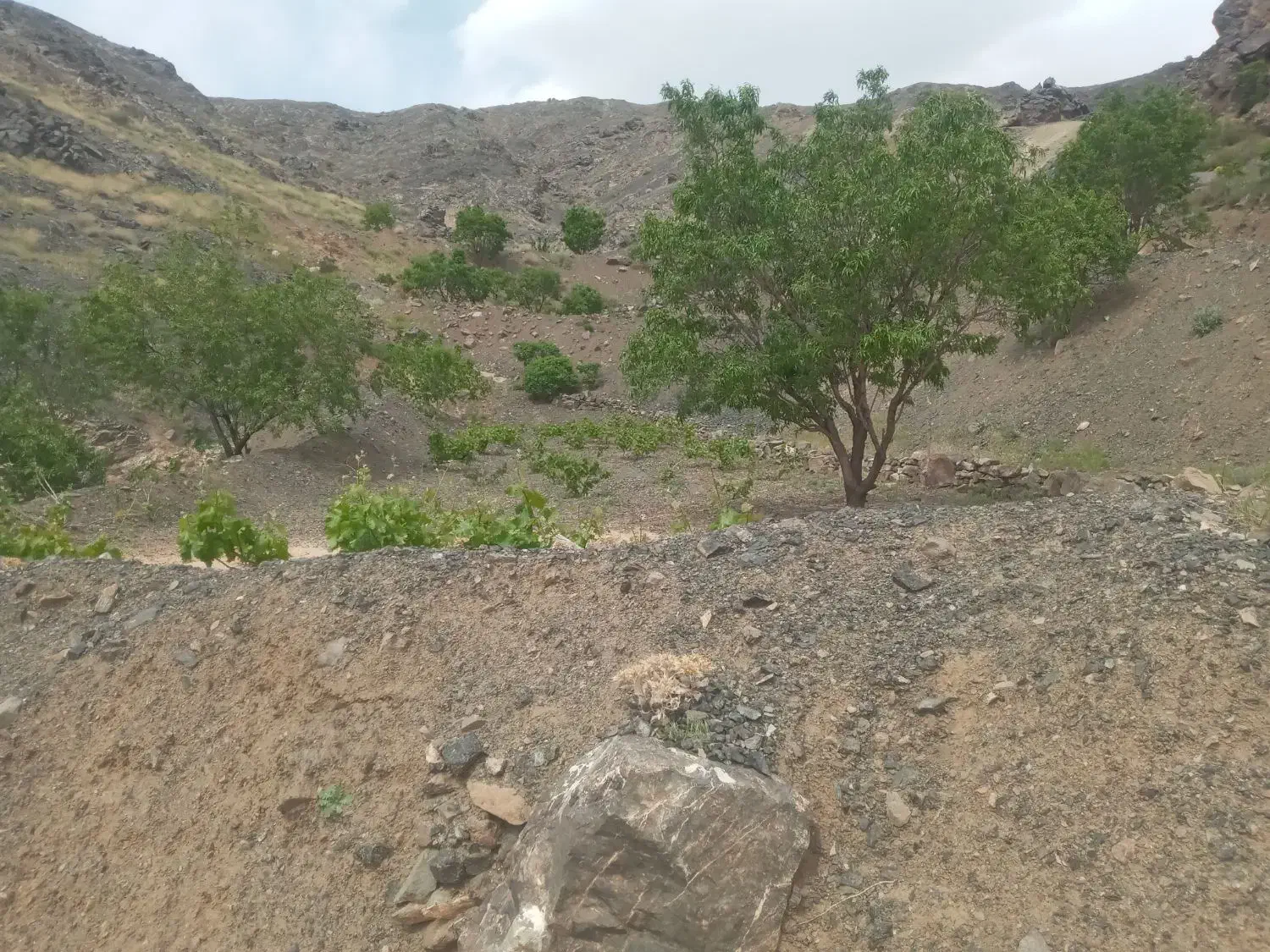 فروش  باغ رودگل قز|فروش خانه و ویلا|سبزوار, کراب|دیوار