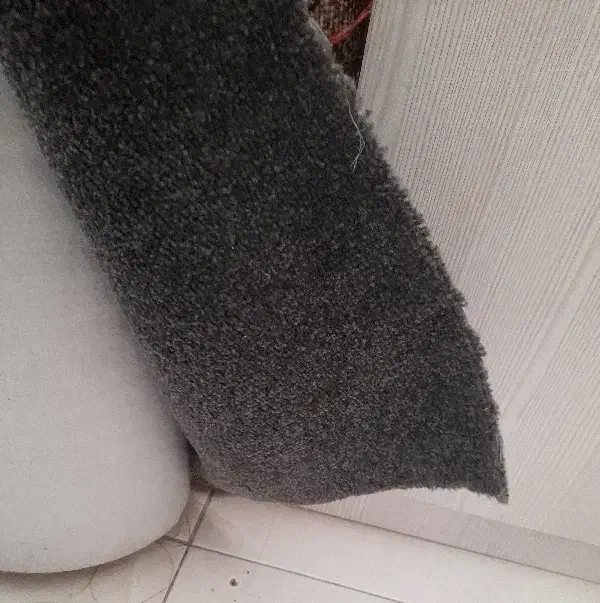 موکت و کناره|موکت|تهران, افسریه شمالی|دیوار