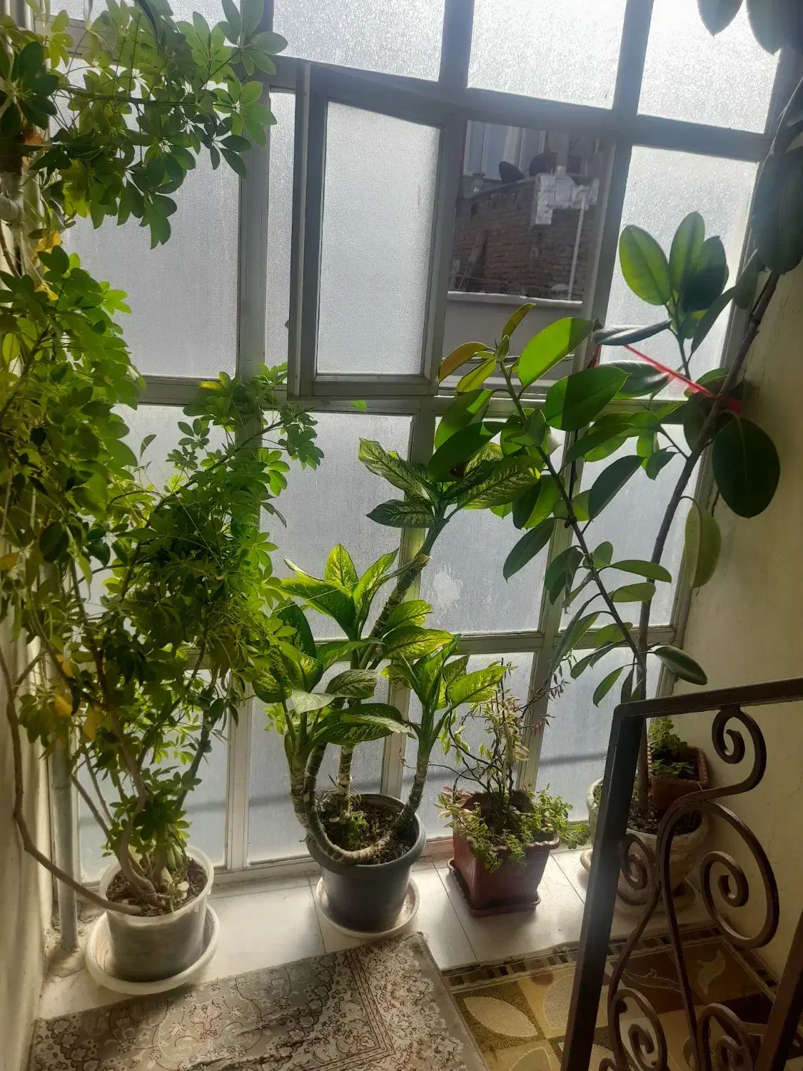 وسایل منزل|حراج|جوانرود, |دیوار