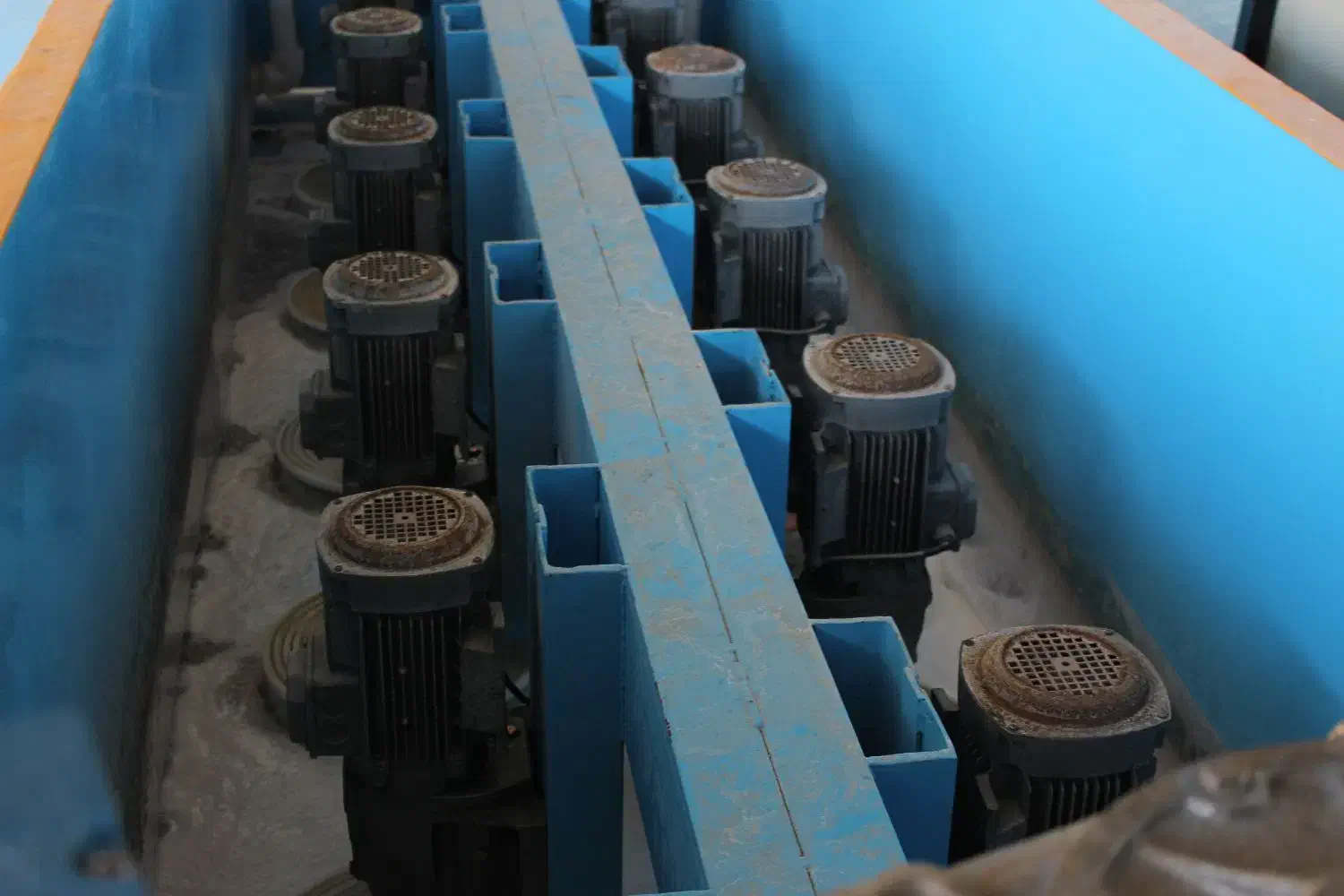 قالیشویی اعلاشور/طلایی|خدمات نظافت|قم, زنبیل آباد|دیوار