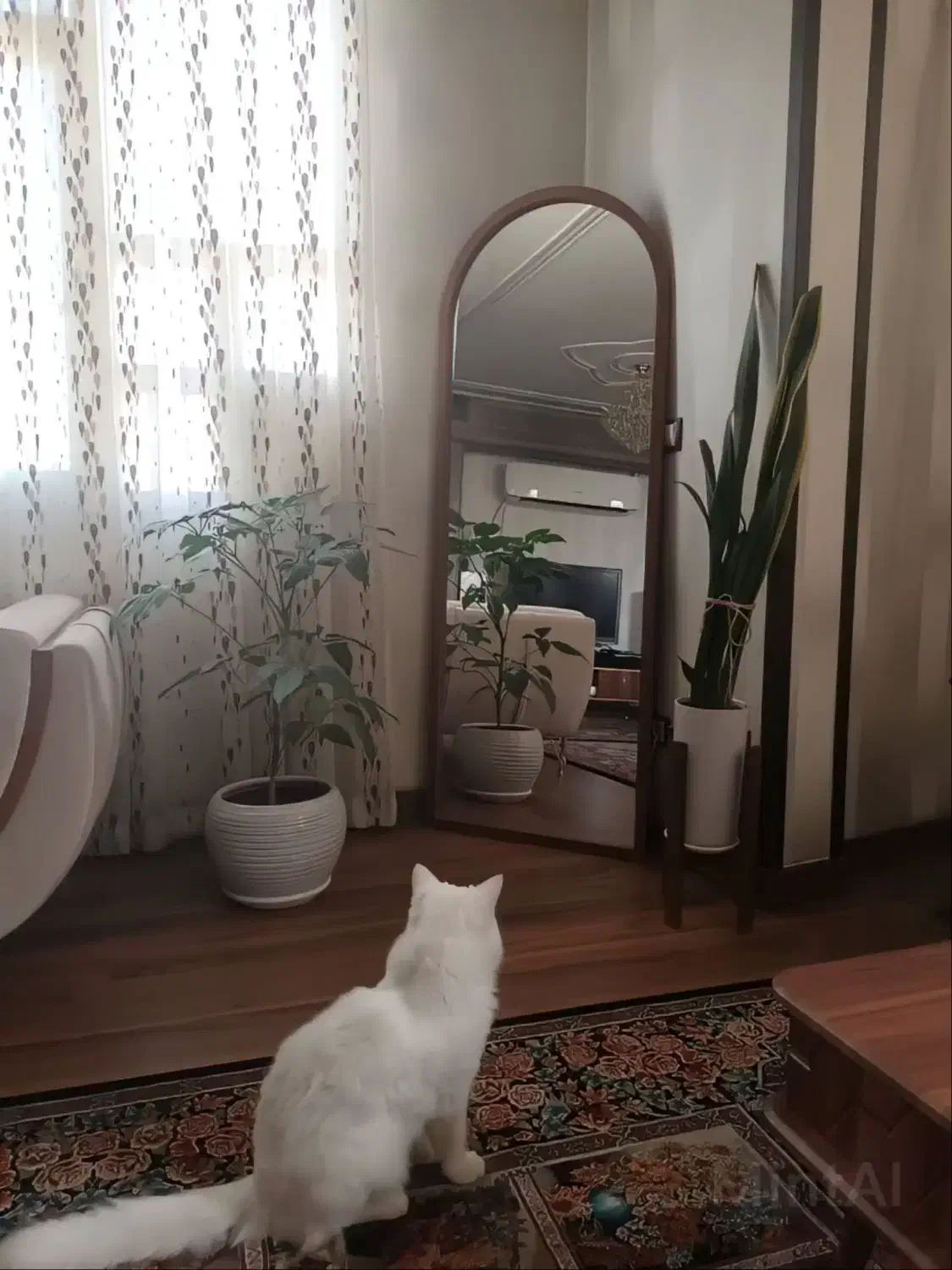 اینه گنبدی ام دی اف|آینه|خرم‌آباد, |دیوار