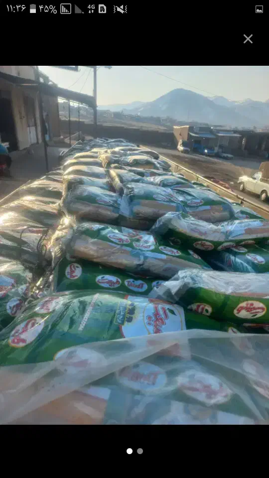 برنج هندی هایلی طبیعت هندی|خوردنی و آشامیدنی|اسلامآباد غرب, |دیوار