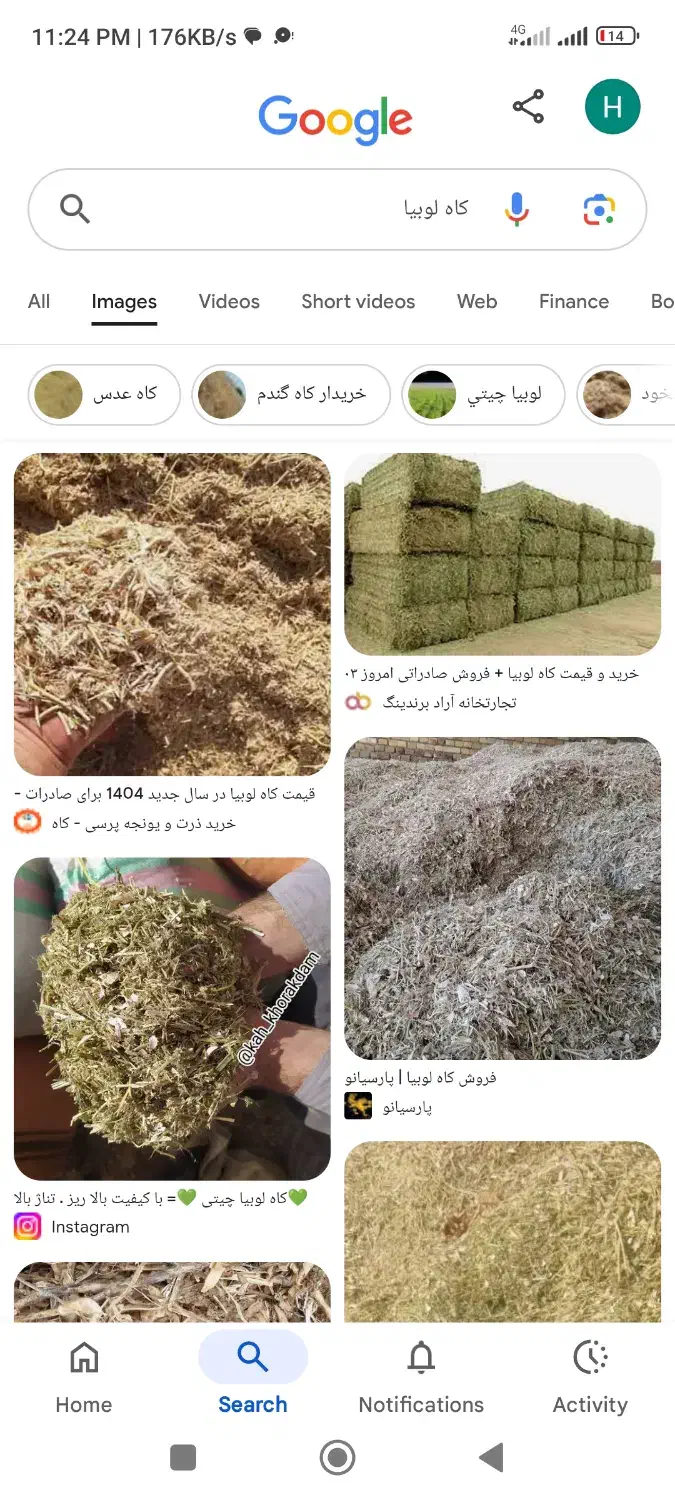 کاه لوبیا به فروش میرسید|عمدهفروشی|قیدار, |دیوار