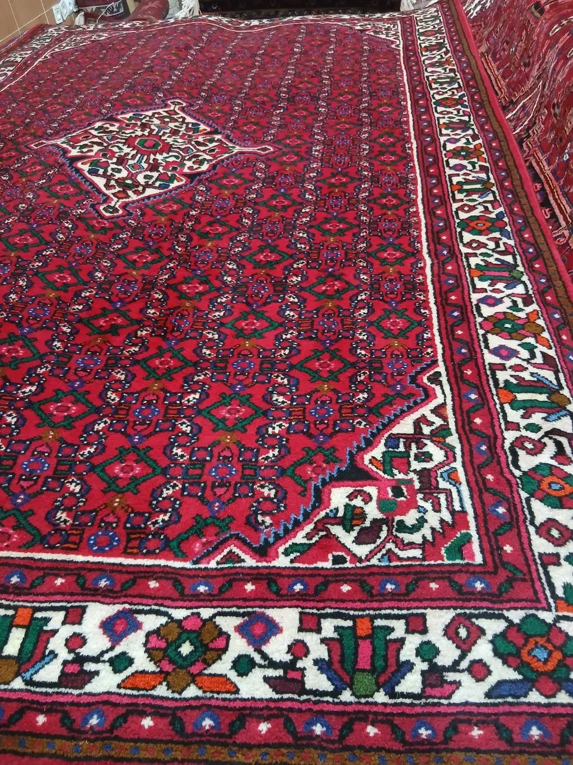 شش متری همدان در حد نو|فرش|میانه, |دیوار