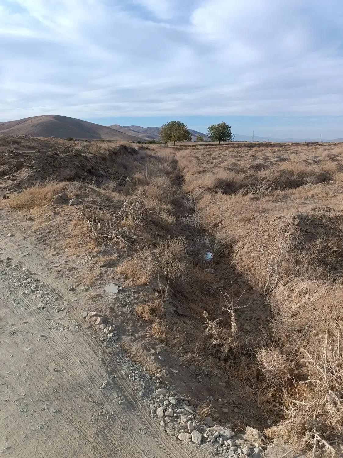 زمین کشاورزی پشت شهرک صنعتی|فروش دفتر صنعتی، کشاورزی، تجاری|زند, |دیوار