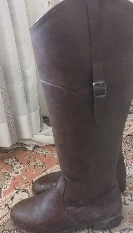 پوتین بلند|کیف، کفش، کمربند|سردرود, |دیوار