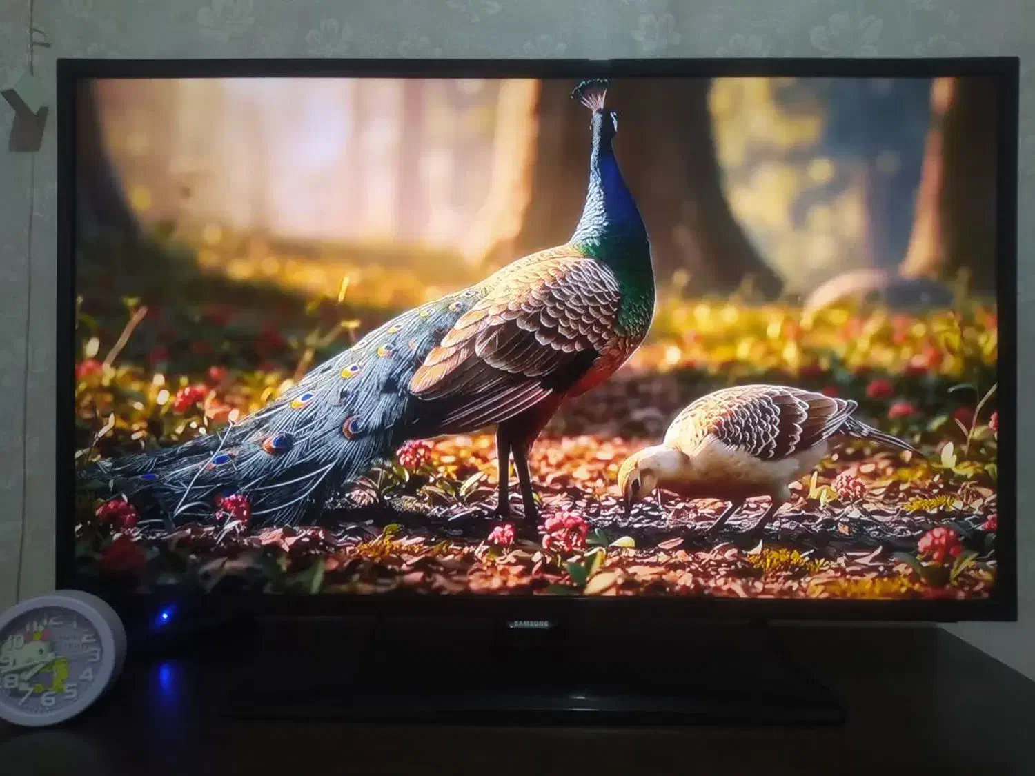 تلویزیون ال ای دی سامسونگ ۴۰اینچ|تلویزیون و پروژکتور|پرند, فاز ۵|دیوار