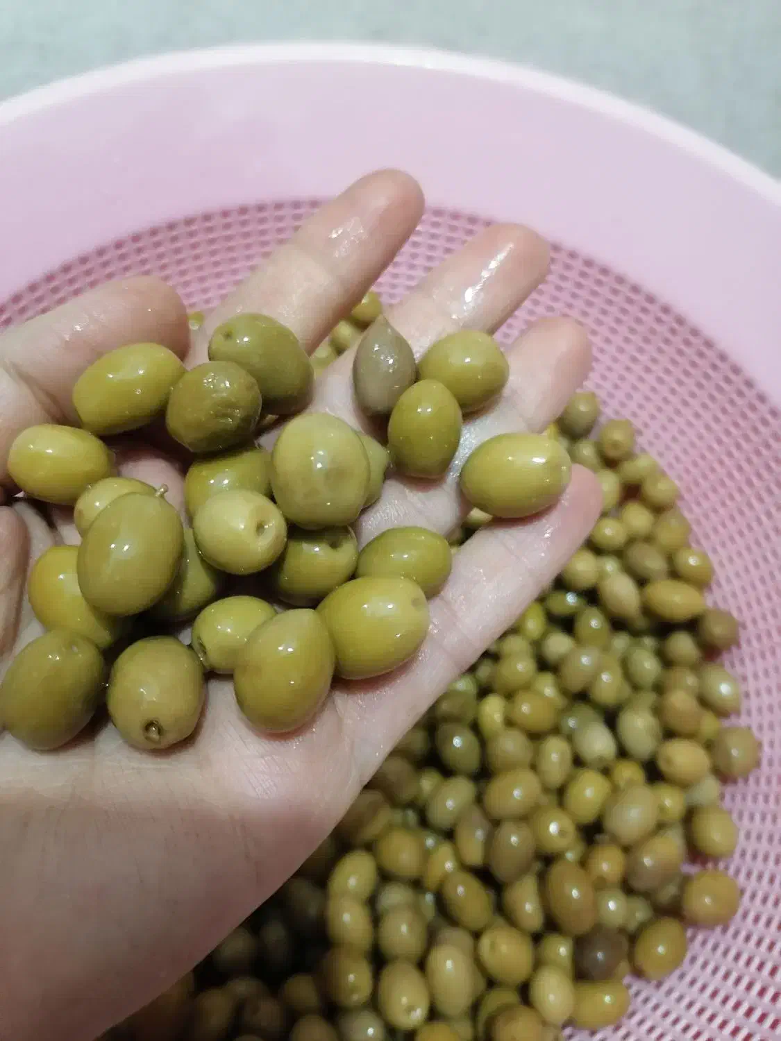 زیتون نمکی گوشتی|خوردنی و آشامیدنی|اهواز, کوی مهدیس|دیوار