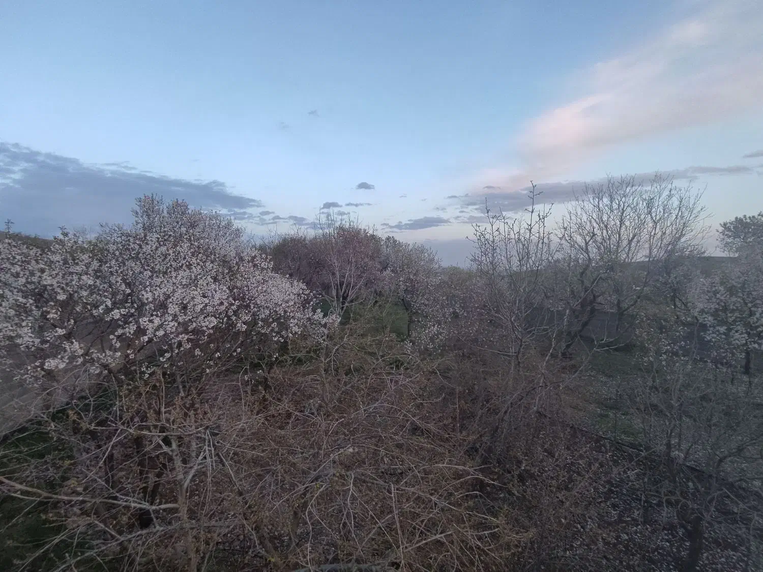 فروش باغ|فروش خانه و ویلا|قزوین, |دیوار