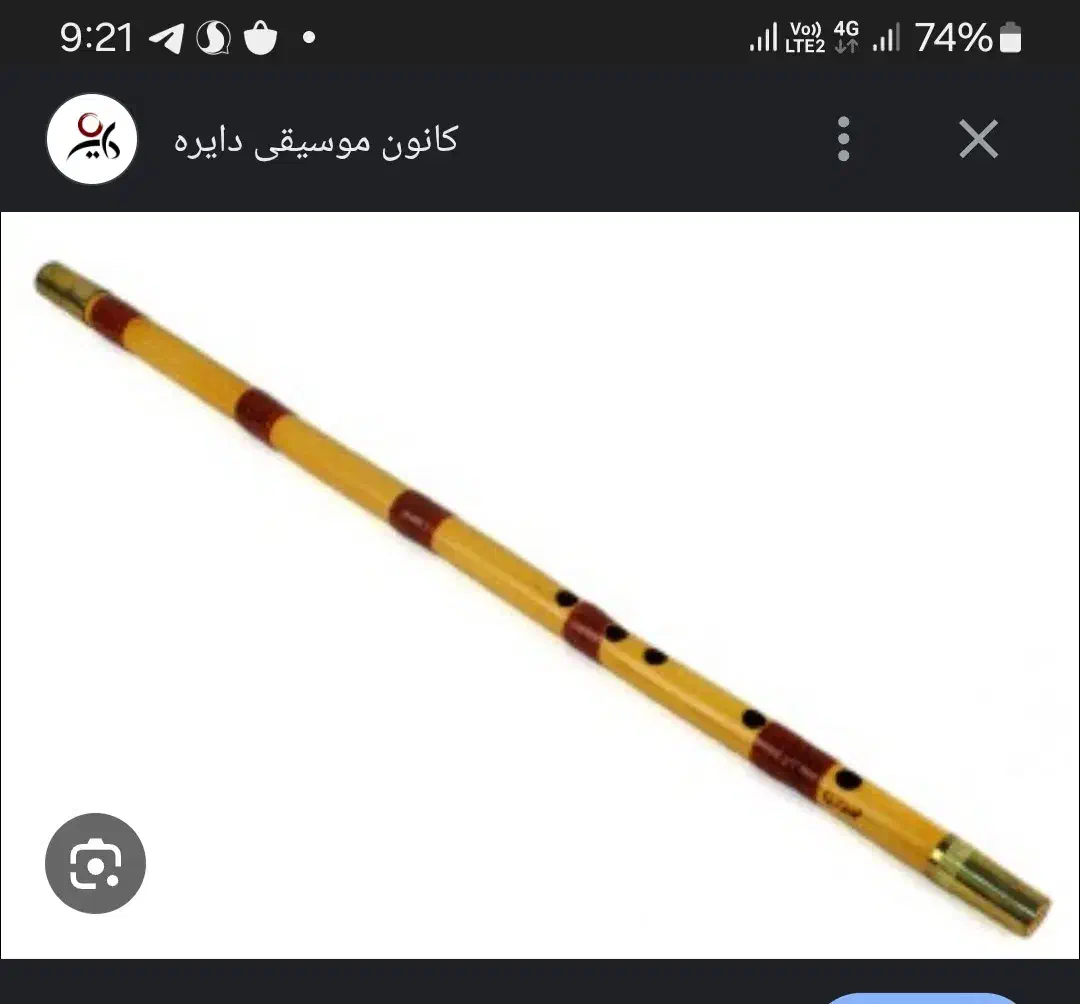 ساز نی گم شده|اشیا|تربت‌حیدریه, آغوی|دیوار