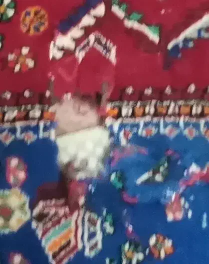 قالیچه دست بافت|فرش|دورود, |دیوار