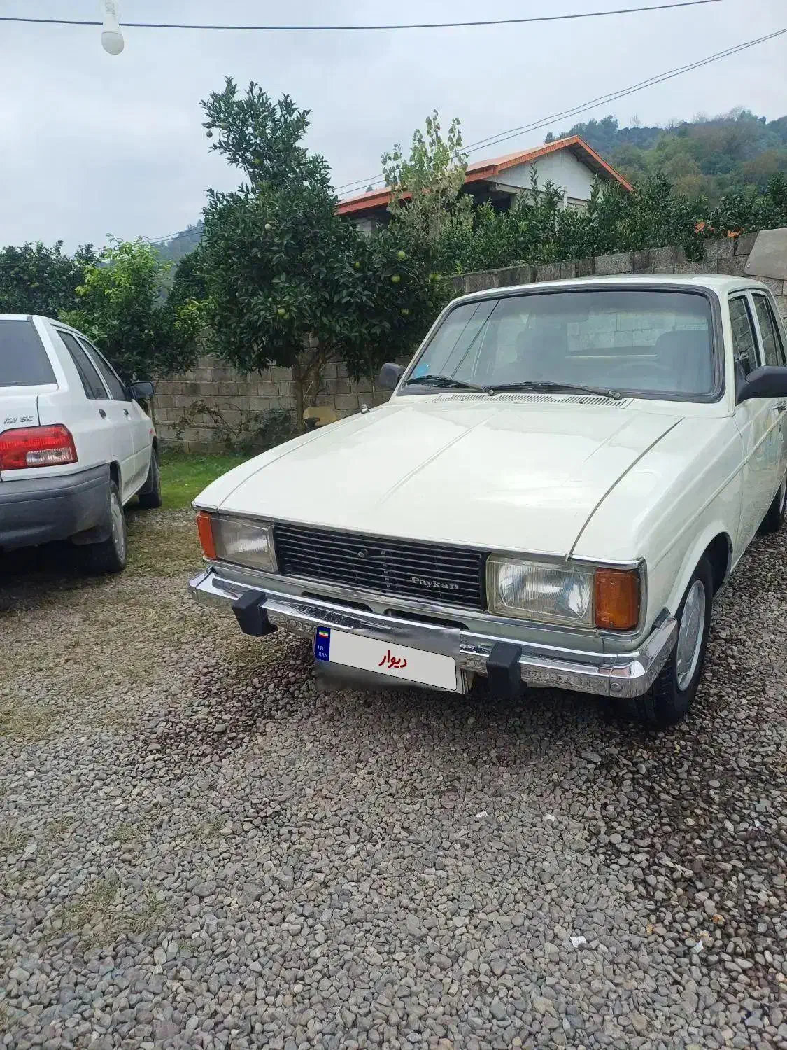 پیکان 81 انژکتور بی رنگ|خودرو سواری و وانت|رانکوه, |دیوار