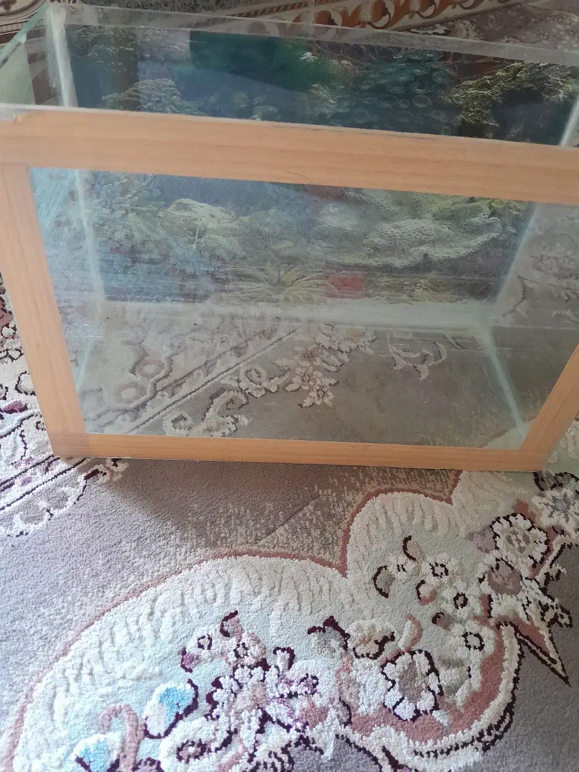 آکواریوم|ماهی|کوهدشت, |دیوار